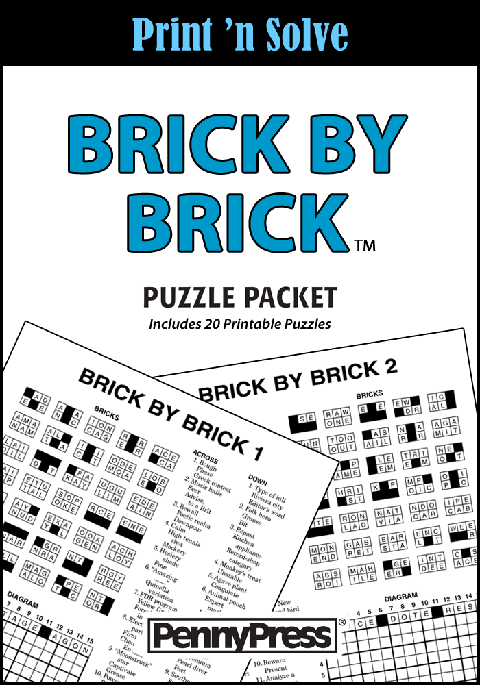 Brick by Brick Puzzle Packet