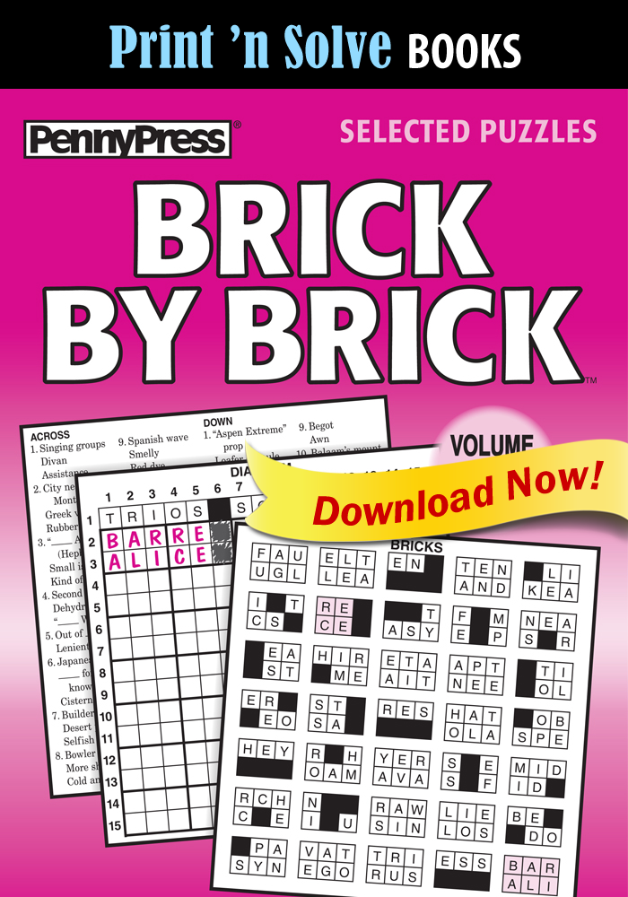 Print ‘n Solve Books: Brick by Brick