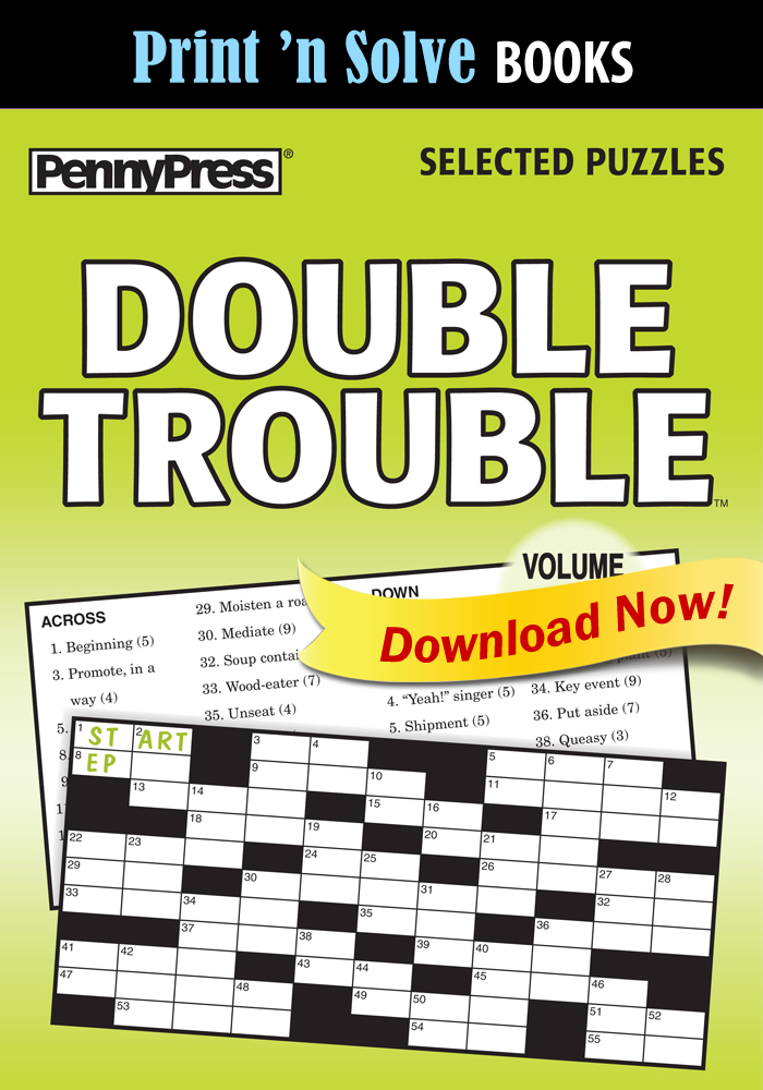 Print ‘n Solve Books: Double Trouble