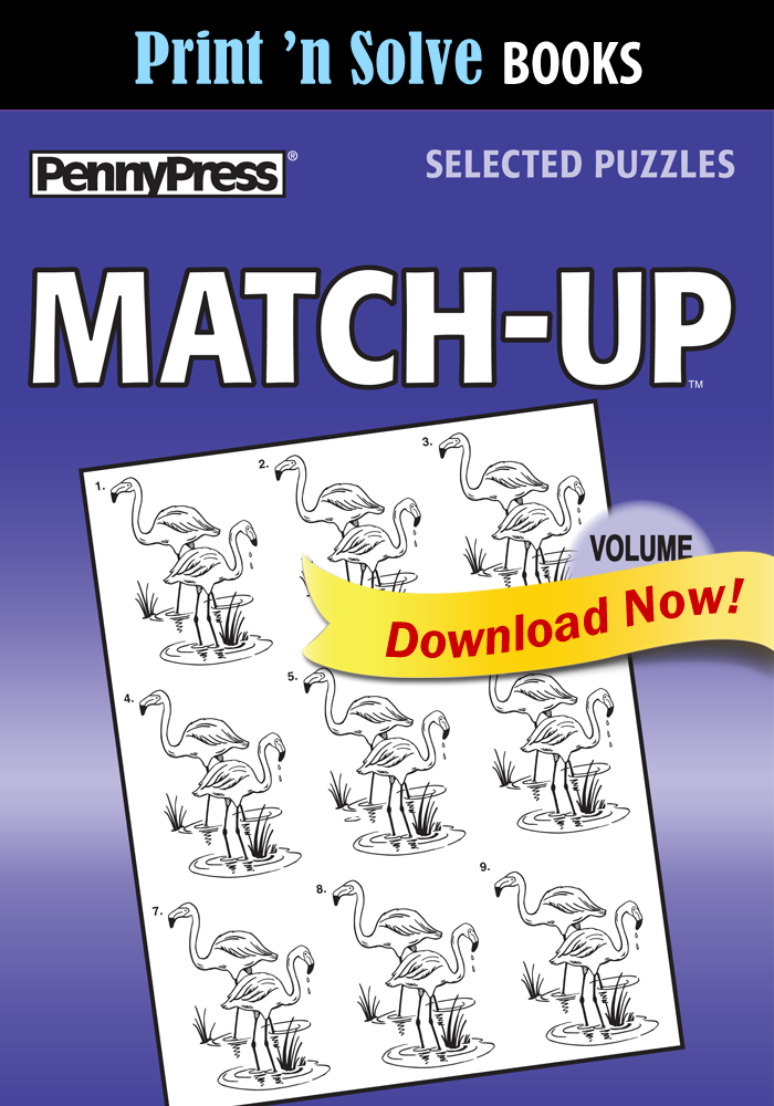 Print ‘n Solve Books: Match-Up
