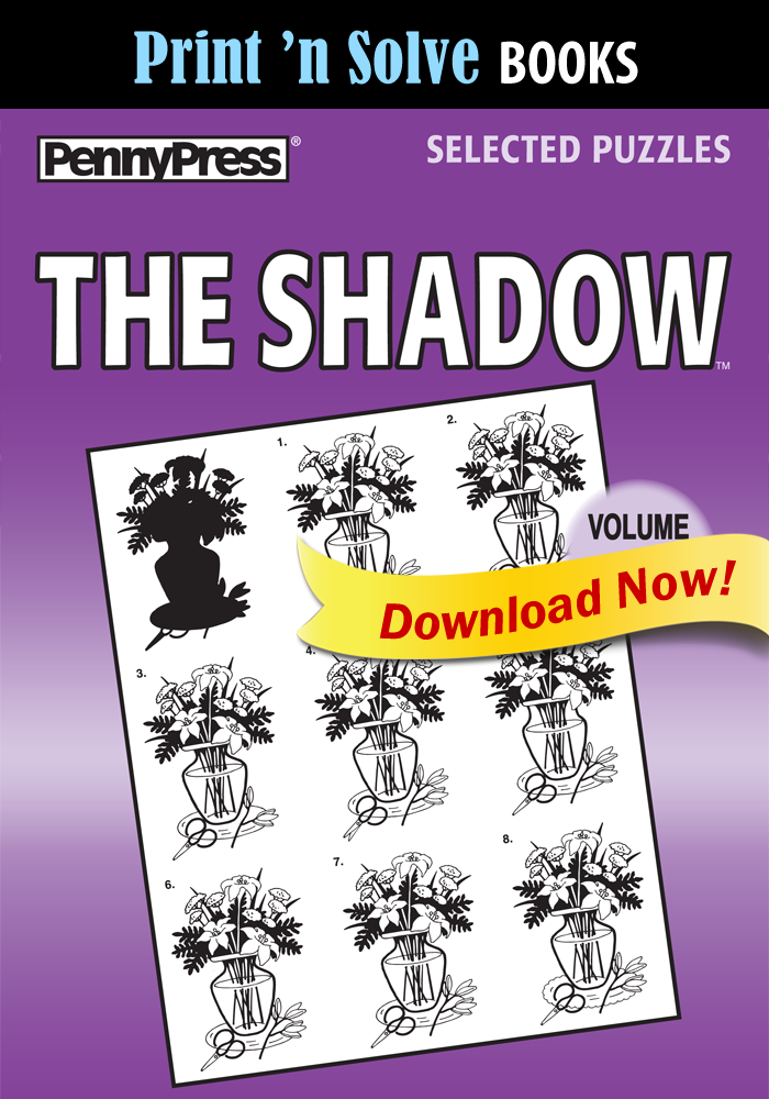 Print ‘n Solve Books: The Shadow