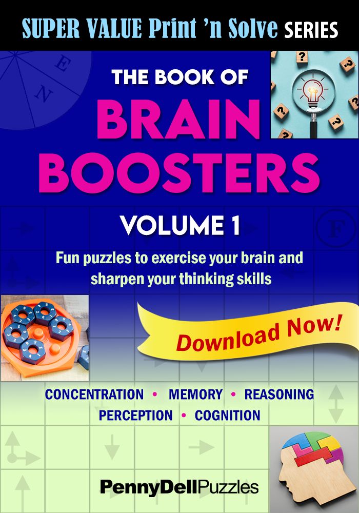 Super Value Print ‘n Solve Series: The Book of Brain Booster Puzzles